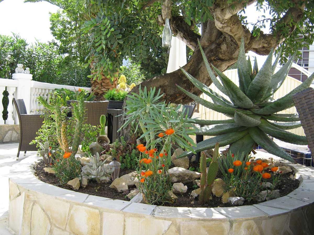 Residence Bougainville La Nucia Exterior photo